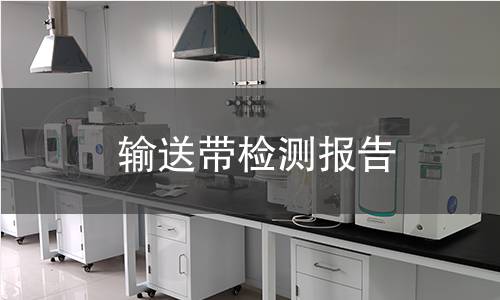 輸送帶檢測報告