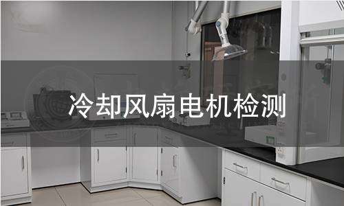 冷卻風(fēng)扇電機(jī)檢測(cè)