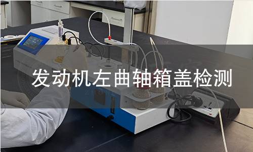 發(fā)動(dòng)機(jī)左曲軸箱蓋檢測(cè)