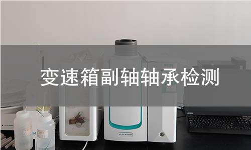 變速箱副軸軸承檢測