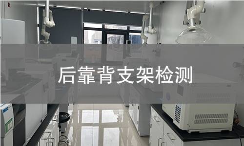 后靠背支架檢測