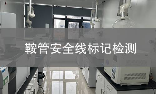 鞍管安全線標(biāo)記檢測(cè)