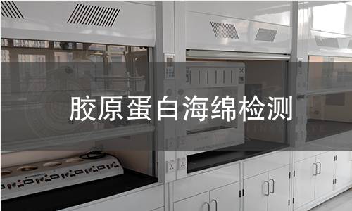 膠原蛋白海綿檢測(cè)