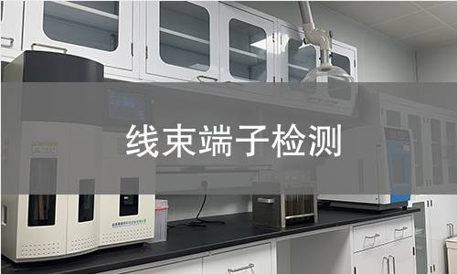 線束端子檢測(cè) 線束端子檢測(cè)