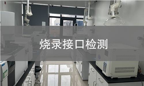 燒錄接口檢測(cè) 燒錄接口檢測(cè)