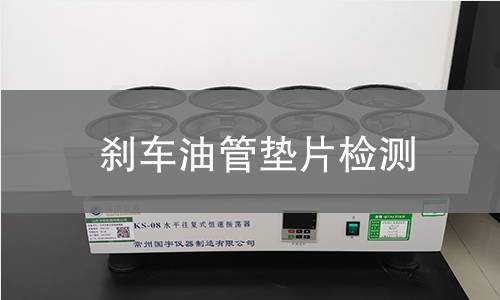 剎車(chē)油管墊片檢測(cè)