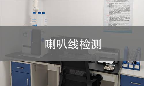 喇叭線檢測(cè)