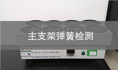 主支架彈簧檢測