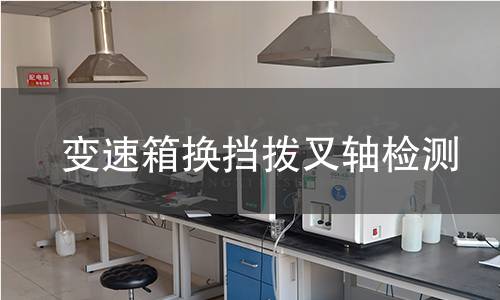 變速箱換擋撥叉軸檢測