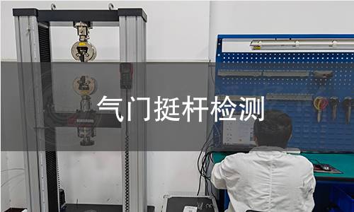 氣門挺桿檢測 氣門挺桿檢測