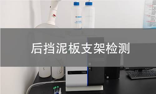 后擋泥板支架檢測(cè)