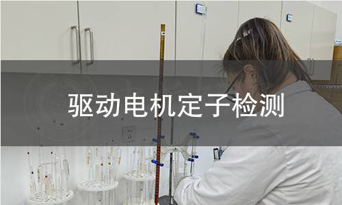 驅(qū)動(dòng)電機(jī)定子檢測(cè) 驅(qū)動(dòng)電機(jī)定子檢測(cè)