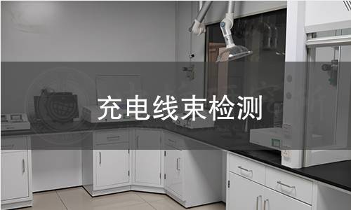 充電線束檢測(cè)