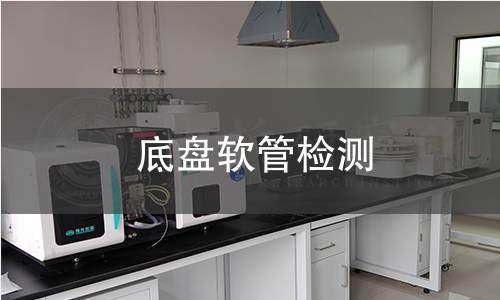 底盤(pán)軟管檢測(cè)