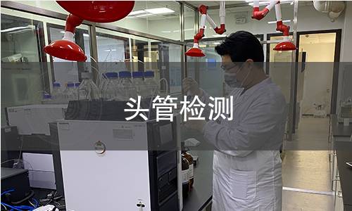 頭管檢測