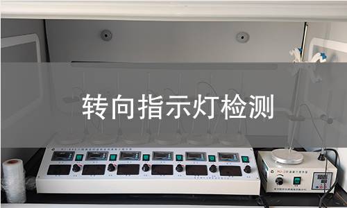 轉(zhuǎn)向指示燈檢測
