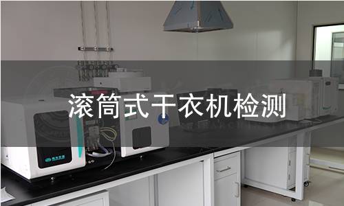 滾筒式干衣機(jī)檢測(cè)