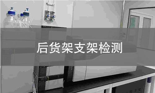 后貨架支架檢測(cè)