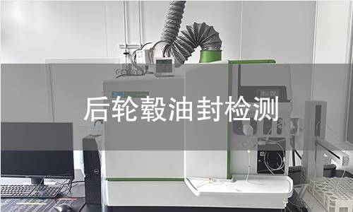 后輪轂油封檢測(cè)