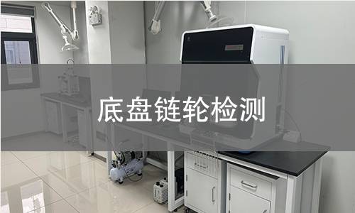 底盤鏈輪檢測(cè)