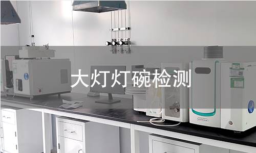 大燈燈碗檢測(cè)