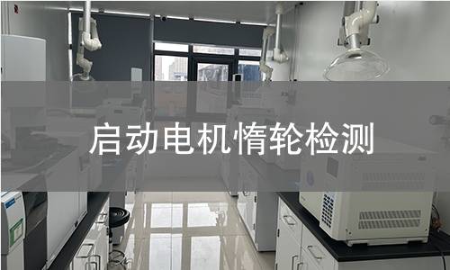 啟動(dòng)電機(jī)惰輪檢測(cè)