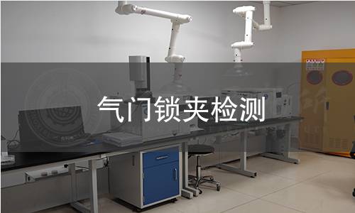 氣門鎖夾檢測