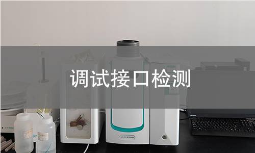 調(diào)試接口檢測