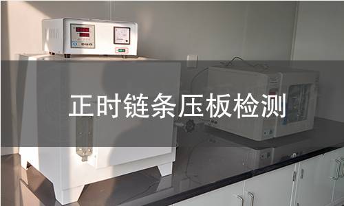 正時鏈條壓板檢測