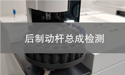 后制動桿總成檢測