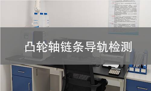 凸輪軸鏈條導(dǎo)軌檢測