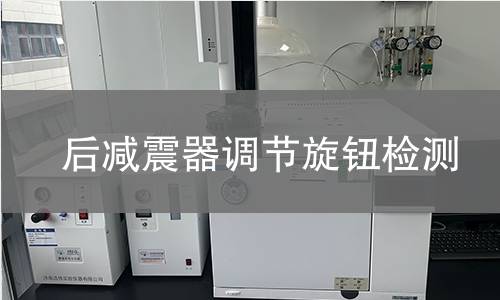 后減震器調(diào)節(jié)旋鈕檢測