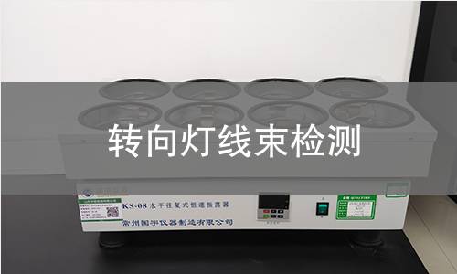 轉(zhuǎn)向燈線束檢測(cè)