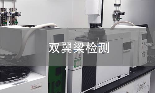 雙翼梁檢測(cè)