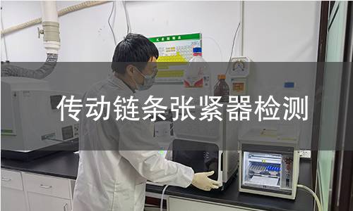 傳動(dòng)鏈條張緊器檢測(cè)