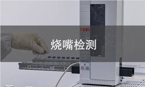 燒嘴檢測