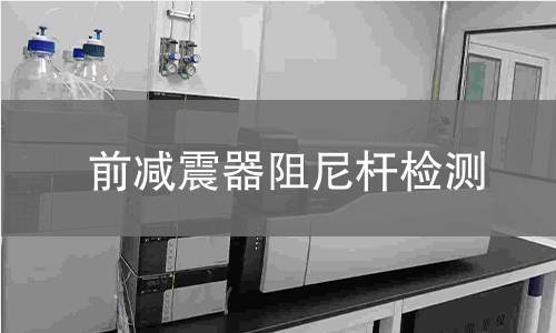 前減震器阻尼桿檢測