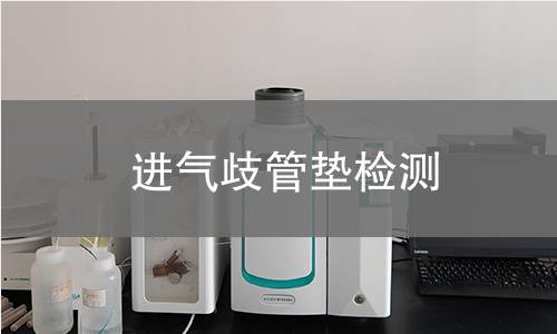 進氣歧管墊檢測