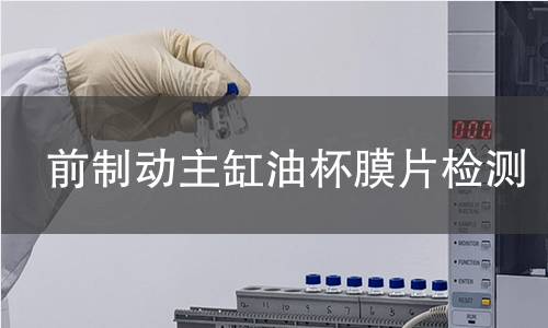 前制動(dòng)主缸油杯膜片檢測(cè)