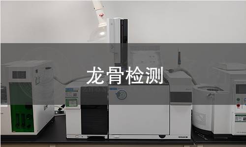 龍骨檢測