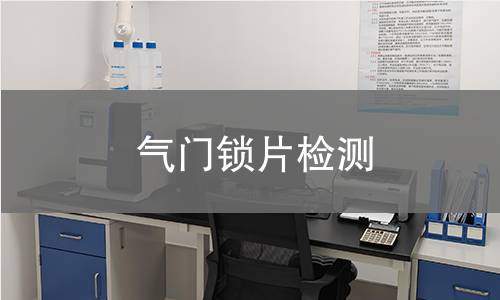 氣門鎖片檢測(cè) 氣門鎖片檢測(cè)