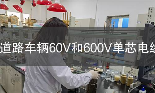 道路車輛60V和600V單芯電線檢測(cè)
