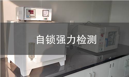 自鎖強(qiáng)力檢測(cè)