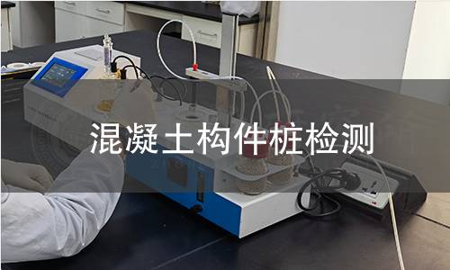 混凝土構(gòu)件樁檢測