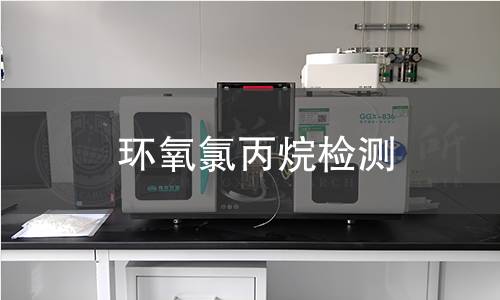 環(huán)氧氯丙烷檢測
