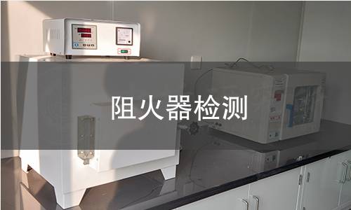 阻火器檢測
