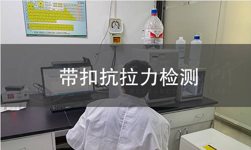 帶扣抗拉力檢測