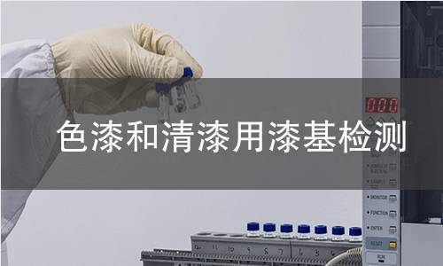 色漆和清漆用漆基檢測(cè)