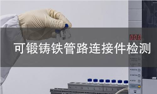 可鍛鑄鐵管路連接件檢測(cè)