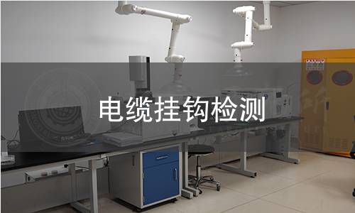 電纜掛鉤檢測(cè)